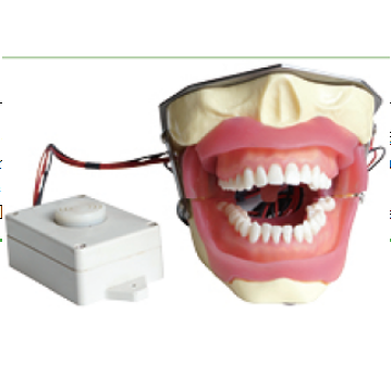蜂鳴器麻醉拔牙模型