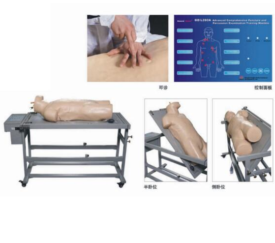 高級綜合穿刺術(shù)與叩診檢查技能訓(xùn)練模擬人