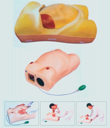 高級電腦孕婦檢查模型